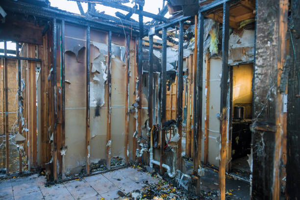 Professional Fire Damage Removal technician working in Mukilteo, WA